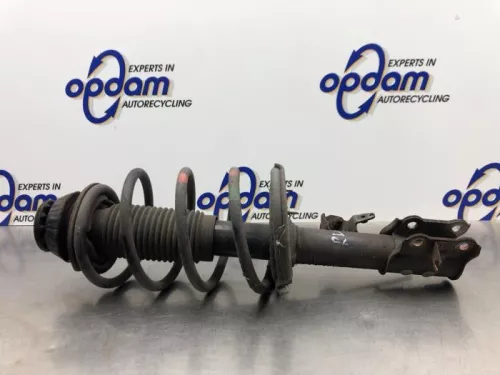 Schokdemperpoot rechts-voor-8173721