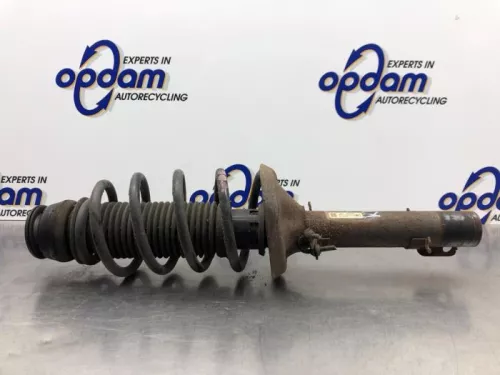 Schokdemperpoot rechts-voor-8196845