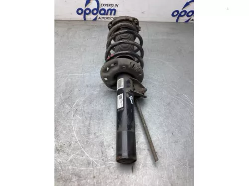 Schokdemperpoot rechts-voor-8155909