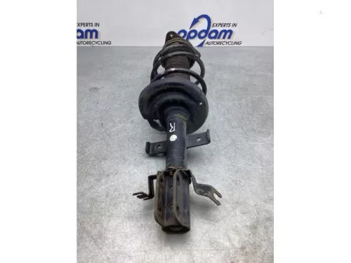 Schokdemperpoot rechts-voor-7729949