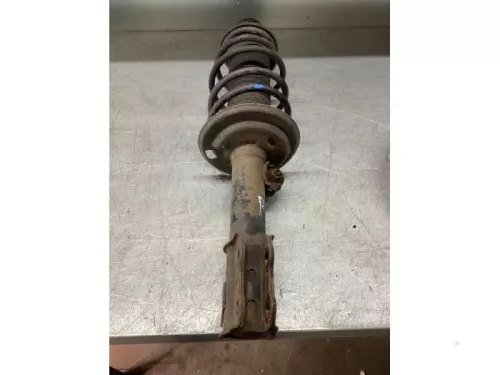 Schokdemperpoot rechts-voor-7741884