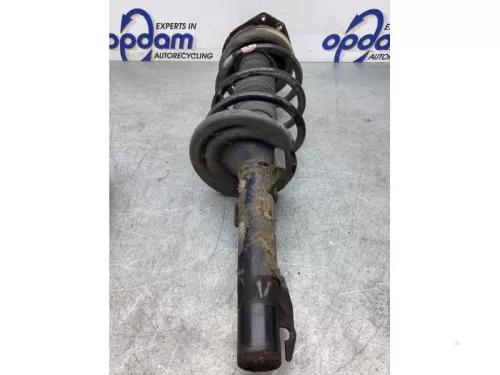 Schokdemperpoot rechts-voor-7929902