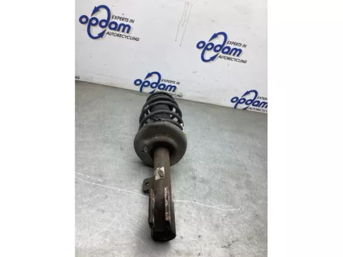 Schokdemperpoot rechts-voor-7981173