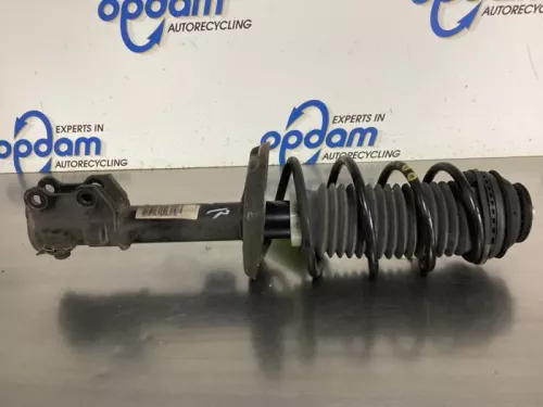 Schokdemperpoot rechts-voor-7892539