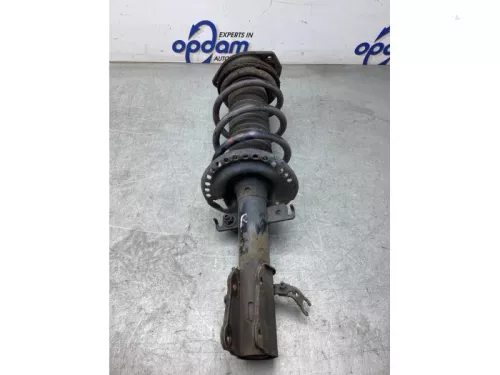 Schokdemperpoot rechts-voor-8234054