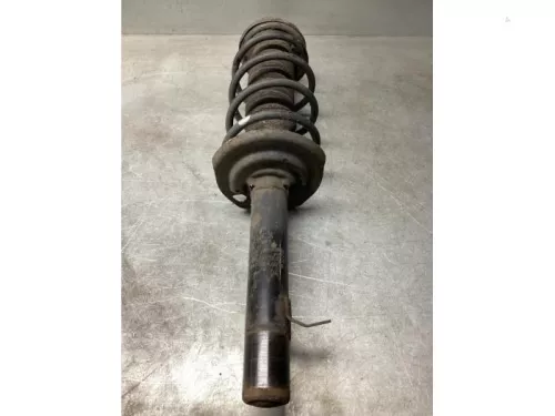 Schokdemperpoot rechts-voor-8204444