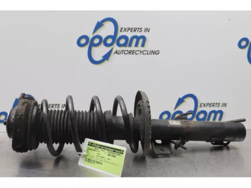 Schokdemperpoot rechts-voor-7588635