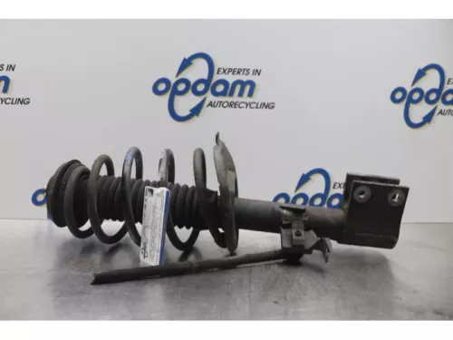 Schokdemperpoot rechts-voor-7878168