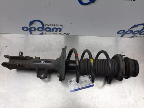 Schokdemperpoot rechts-voor-7877176