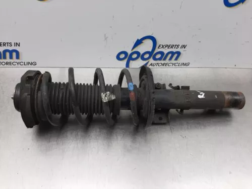 Schokdemperpoot rechts-voor-7613248