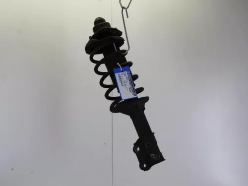 Schokdemperpoot rechts-voor-7885650