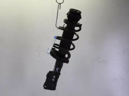 Schokdemperpoot rechts-voor-7884069