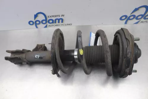 Schokdemperpoot rechts-voor-7876927