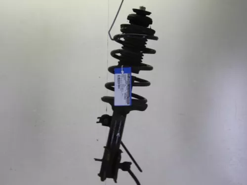 Schokdemperpoot rechts-voor-7617365