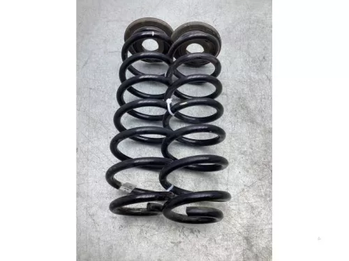 Schroefveer achter-7924315