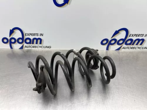 Schroefveer achter-8287203