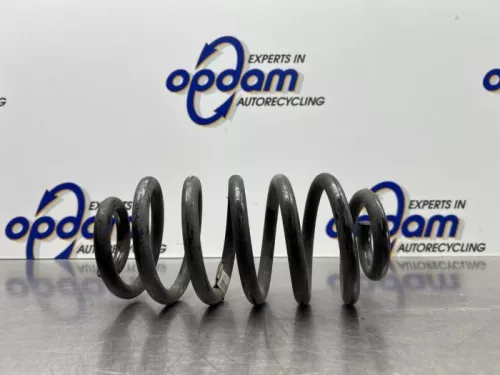 Schroefveer achter-8079069