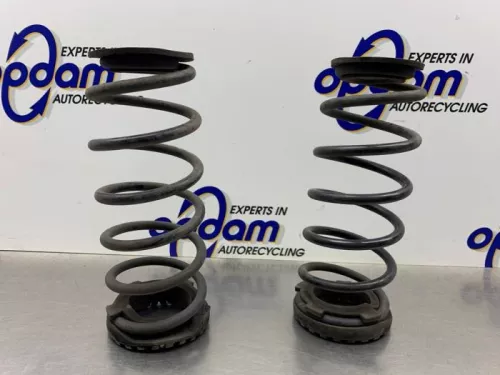 Schroefveer achter-8060518