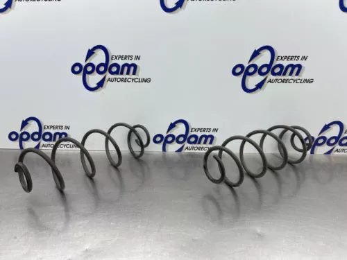 Schroefveer achter-8301989