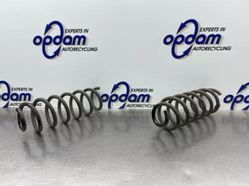 Schroefveer achter-8324976