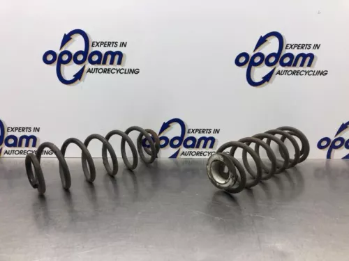 Schroefveer achter-8221899