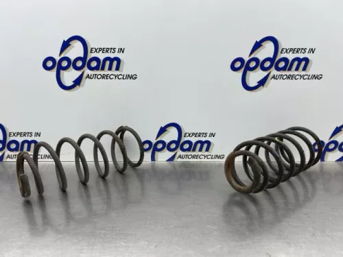 Schroefveer achter-8318662