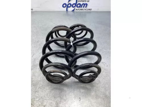 Schroefveer achter-6938283