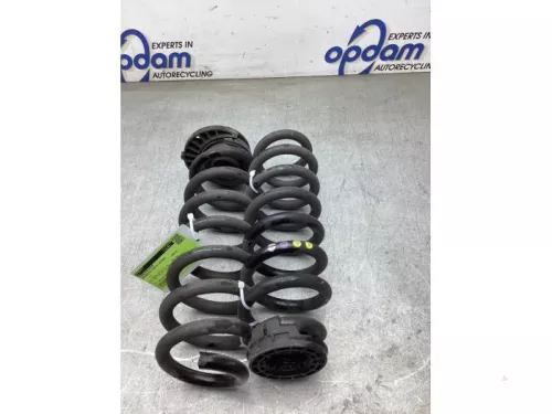 Schroefveer achter-8296650