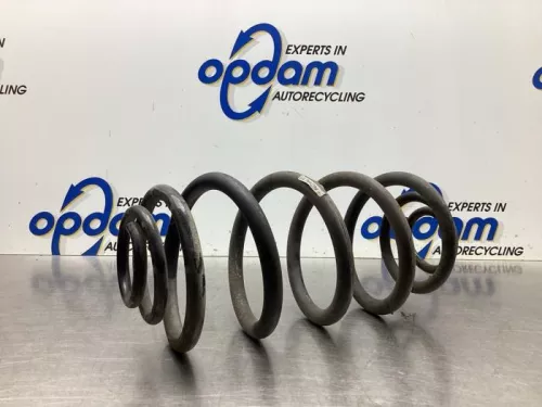 Schroefveer achter-7990372