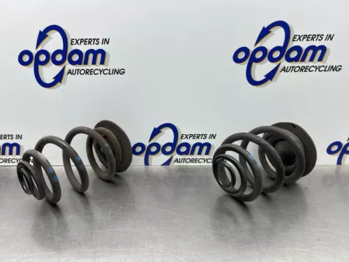 Schroefveer achter-8285252