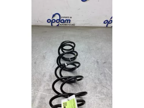 Schroefveer achter-8291803