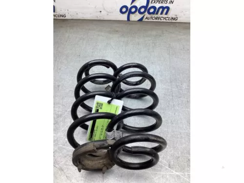 Schroefveer achter-8310587