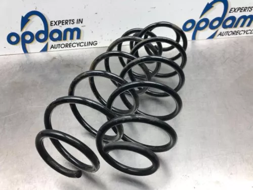 Schroefveer achter-7740683