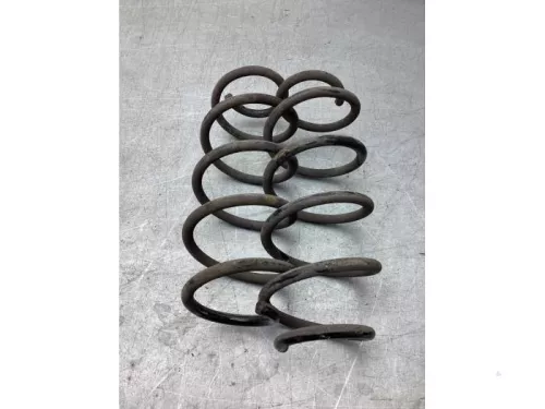 Schroefveer achter-8227175