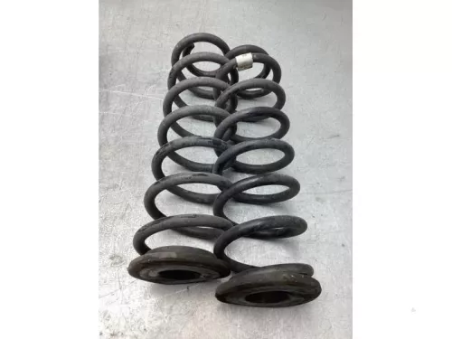 Schroefveer achter-8103818