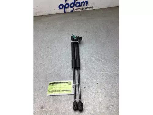 Set Gasdempers Achterklep-8291803