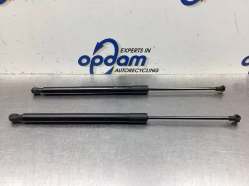 Set Gasdempers Achterklep-8121988
