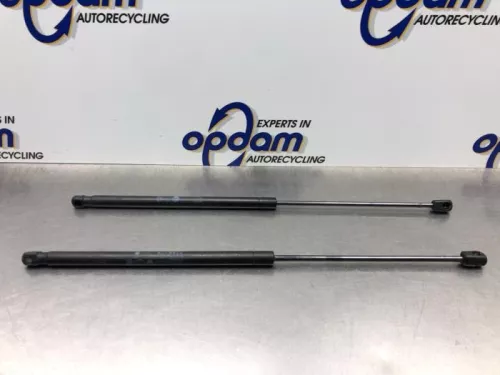 Set Gasdempers Achterklep-8115130