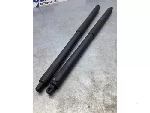 Set Gasdempers Achterklep-7714012