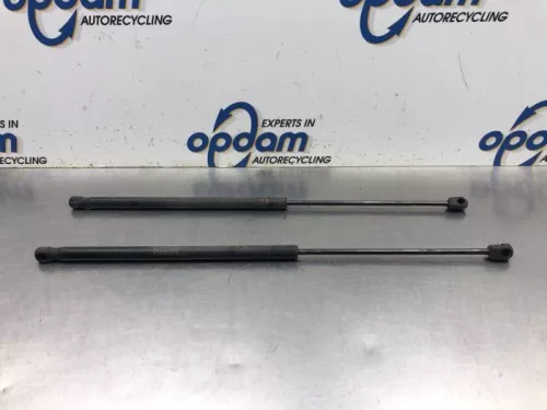 Set Gasdempers Achterklep-8151122