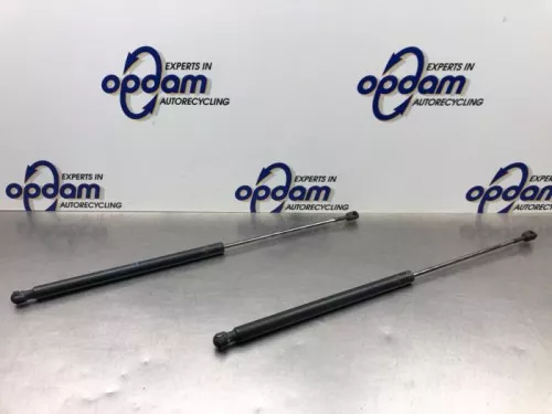 Set Gasdempers Achterklep-8260722