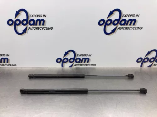 Set Gasdempers Achterklep-8131101