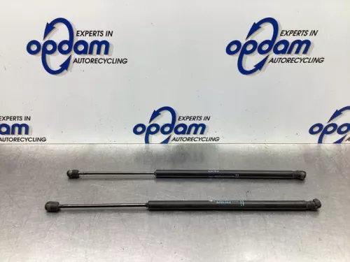 Set Gasdempers Achterklep-6093654