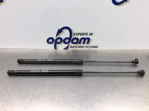 Set Gasdempers Achterklep-8167904