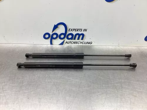 Set Gasdempers Achterklep-7924166