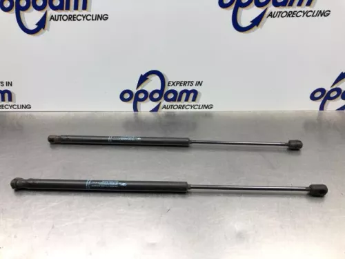 Set Gasdempers Achterklep-8233557