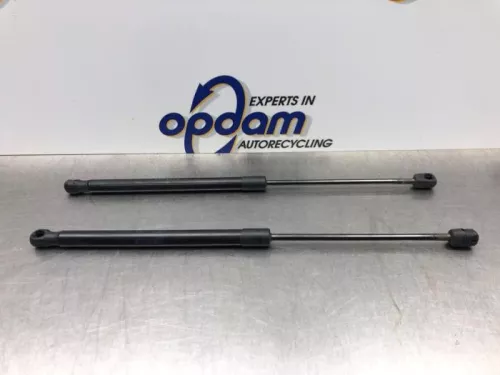 Set Gasdempers Achterklep-8221697