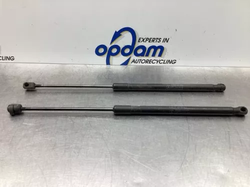 Set Gasdempers Achterklep-7715753