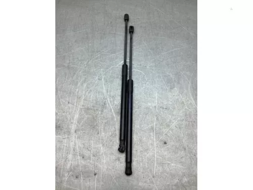 Set Gasdempers Achterklep-8202418
