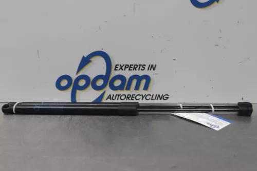 Set Gasdempers Achterklep-7877247